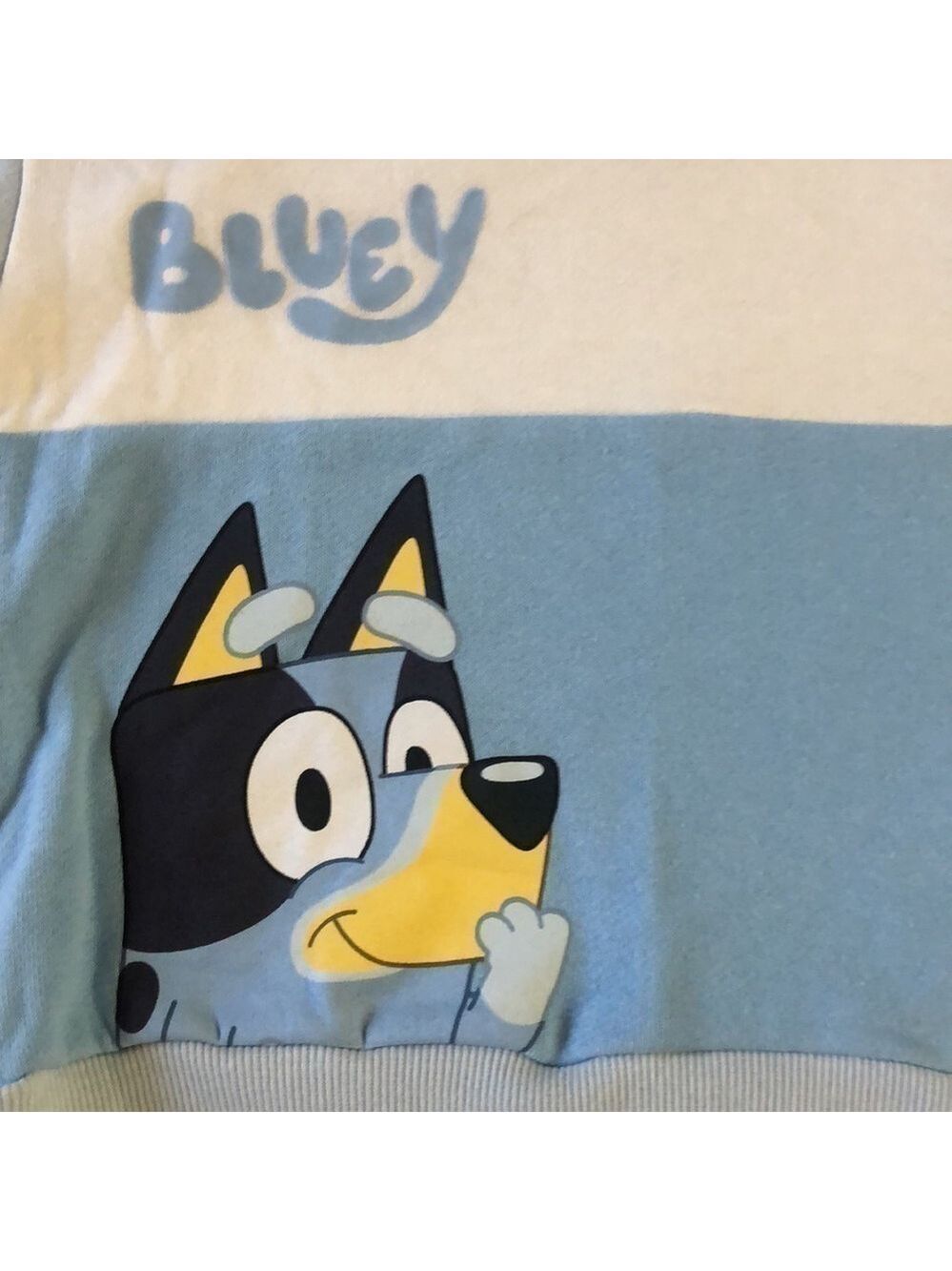 BLUEY Moose Toddler Boy Bluey Sweatshirt Pullover Sweatpants Set Blue Cream 3T - Picture 10 of 17